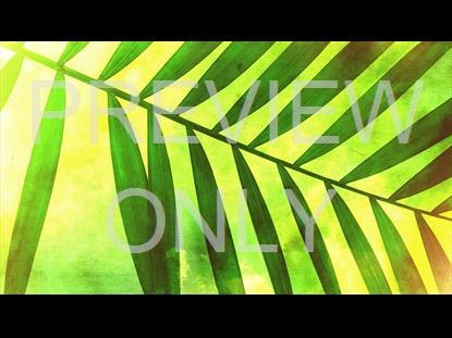 Palm Sunday 4 Graphic