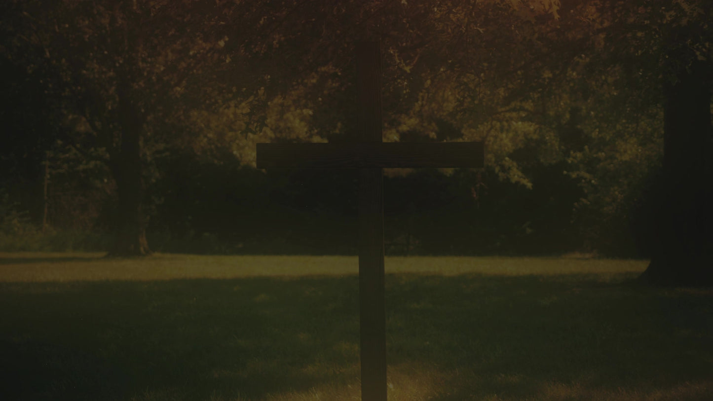 Cross 7 Alt Still
