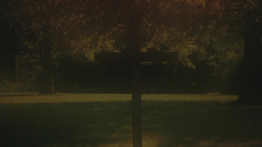Cross 7 Alt Still