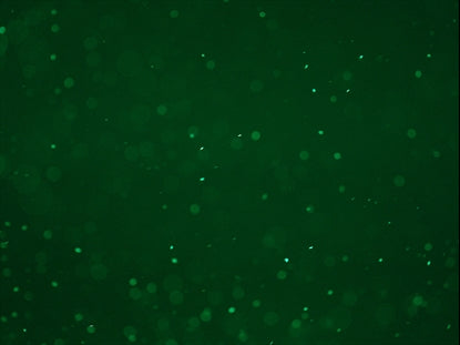 Dust Storm Green Flow