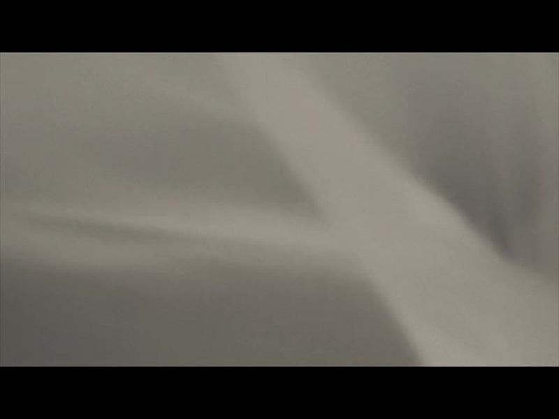 Stillness 7