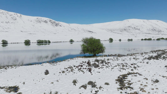 Winter Expanse 4 Still