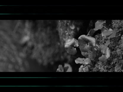 Bw Cliffside Teal Geo