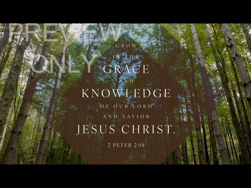 The Forest Grow In Grace Sermon Title 5