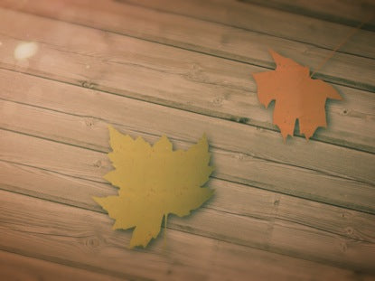 Leaves On Deck