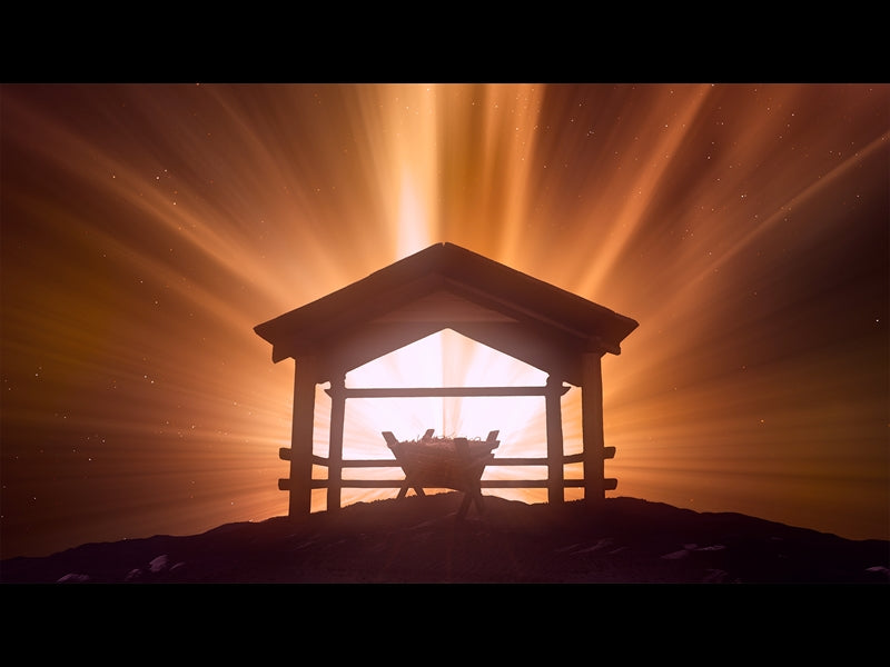 Christmas Manger 4