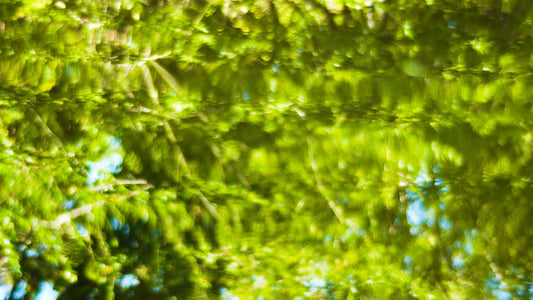 Living Waters 06