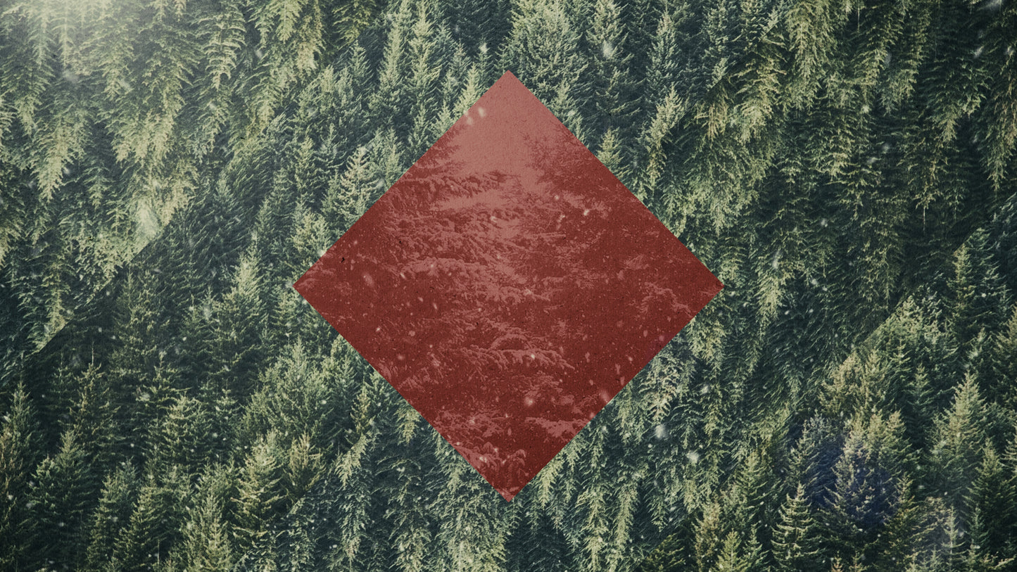 Christmas Forest 02 Still