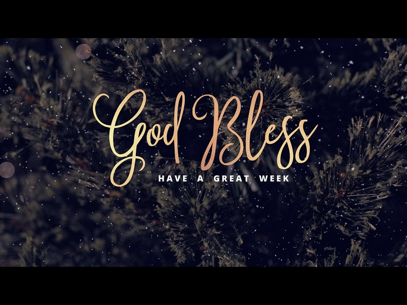 Christmas Tree Close