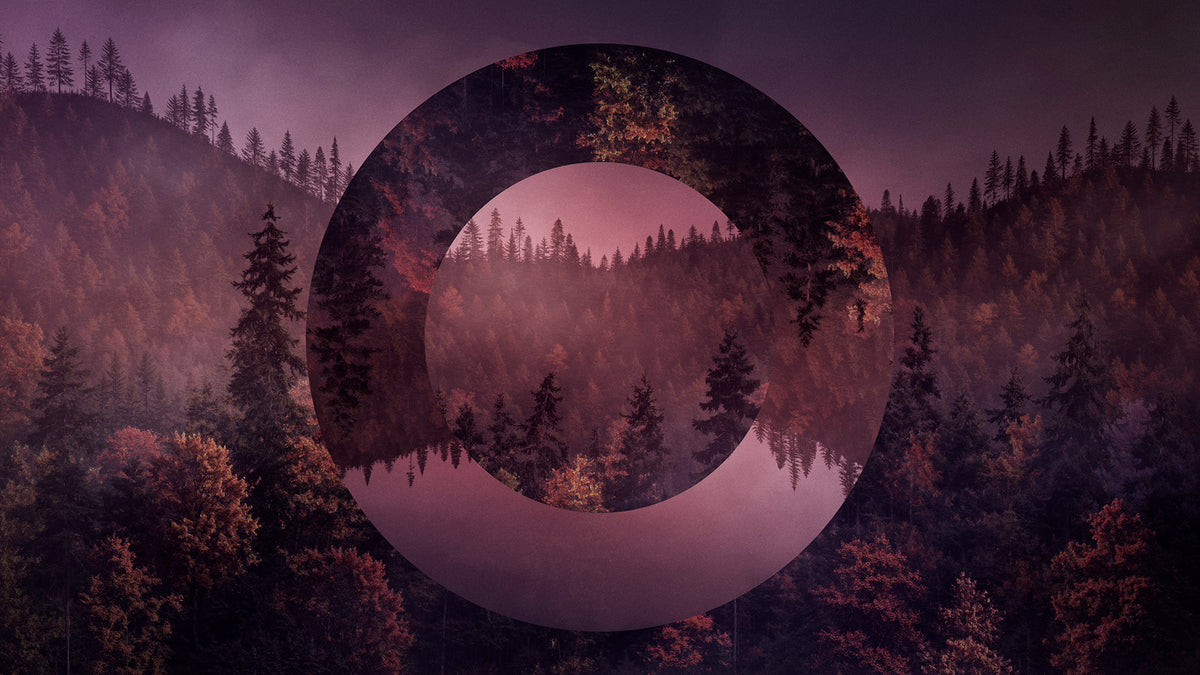 Ridgeline Fall 4 Remix