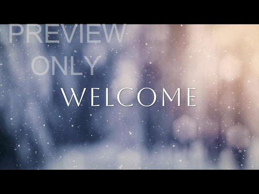 Snow Shimmer: Welcome Still