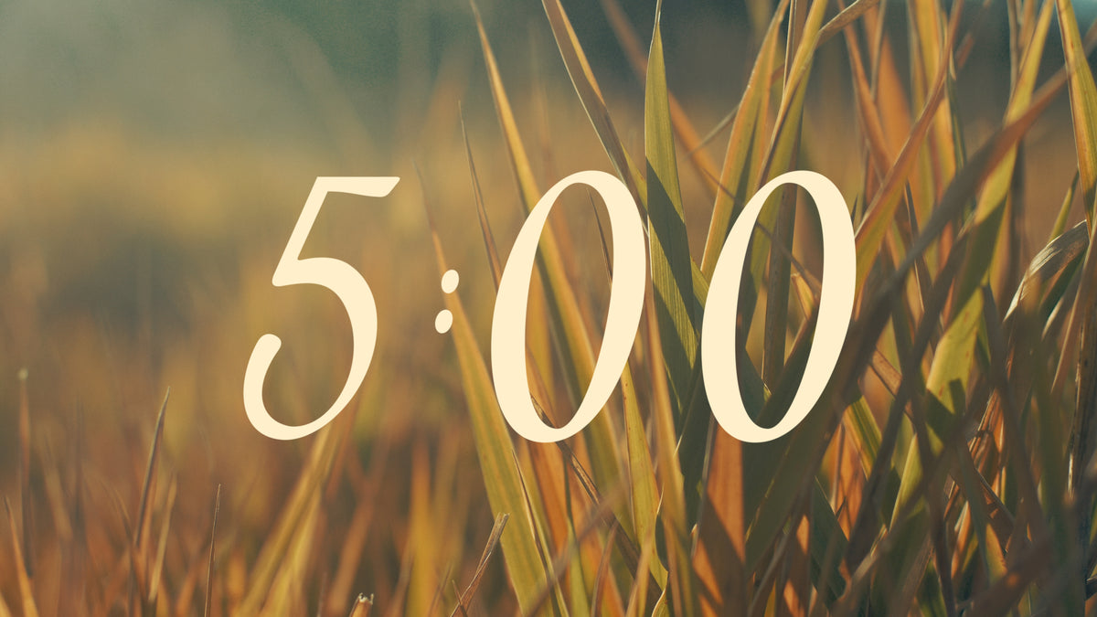 The Grass Countdown 01