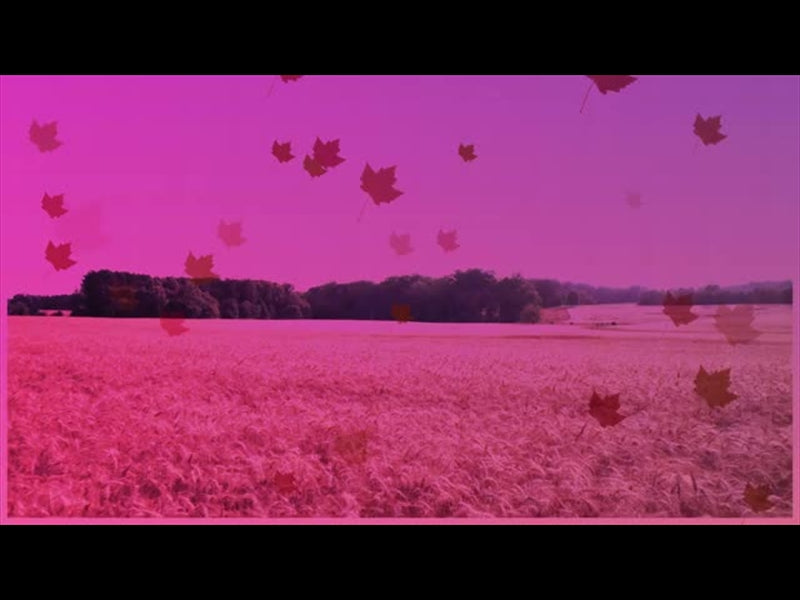 Harvest Motion Background 11