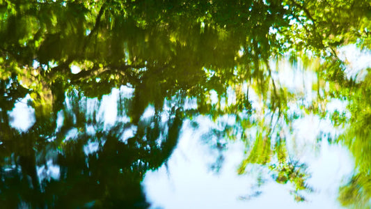 Living Waters 05