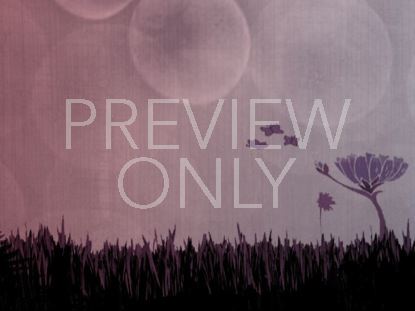 Flower And Butterfly Purple Still