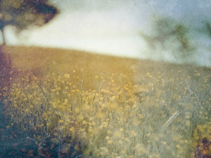 Spring Forward 3 Motion