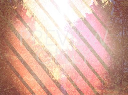 Country Autumn Still 02