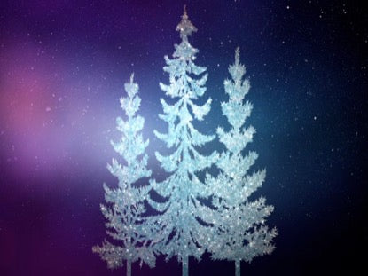 Christmas Sparkle Kids 6