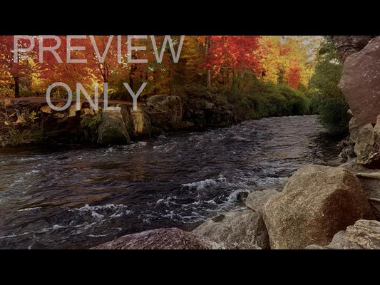 Northwest Fall 4 Still