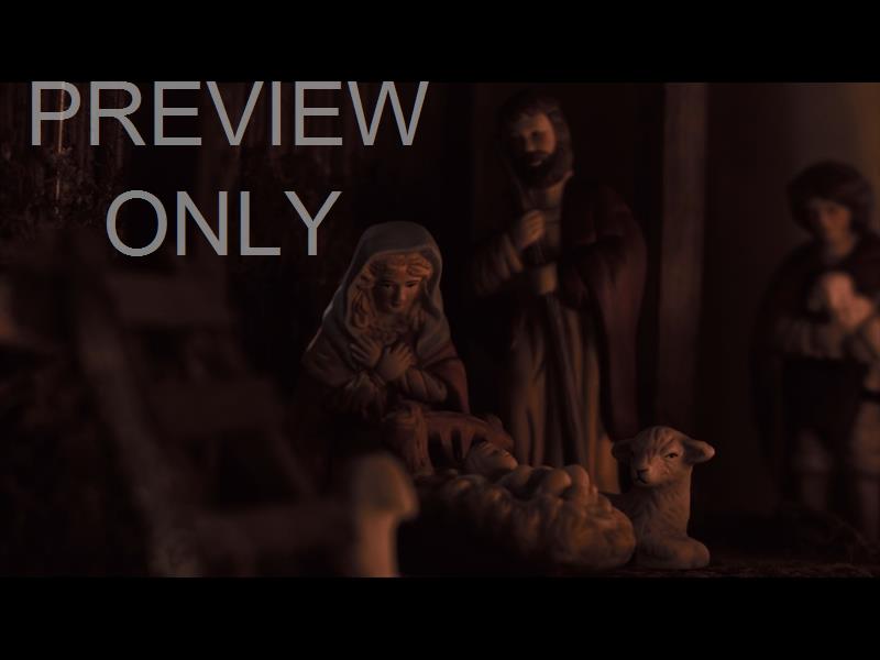 In A Manger Still 09