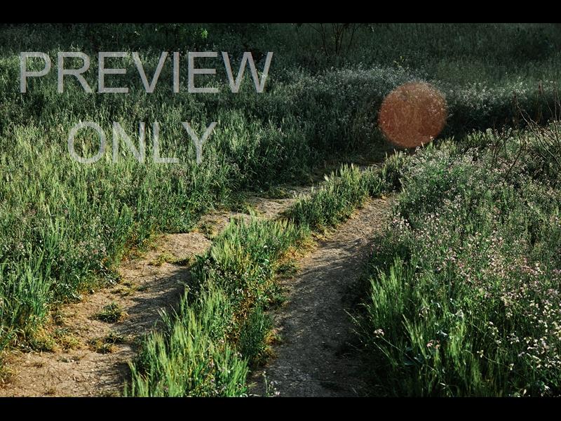 Grassy Path