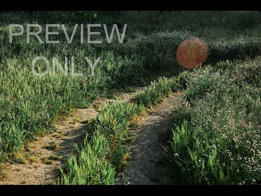 Grassy Path