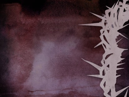 Stained Thorns 3