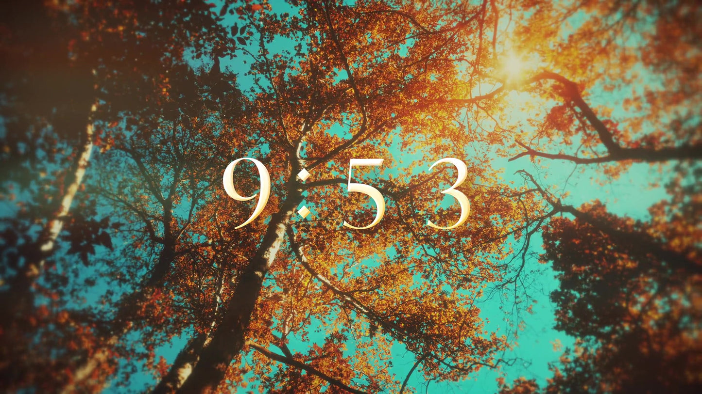 Autumn Canopies 10-Minute Countdown