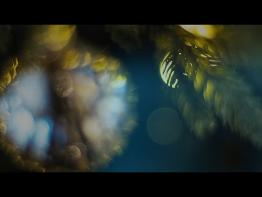 Bright And Beautiful Loop 03