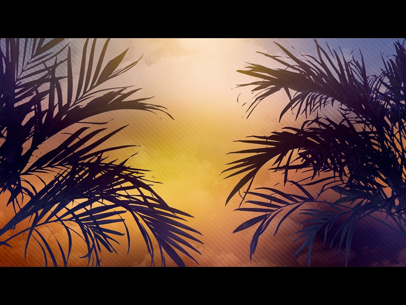 Sun Palms 2