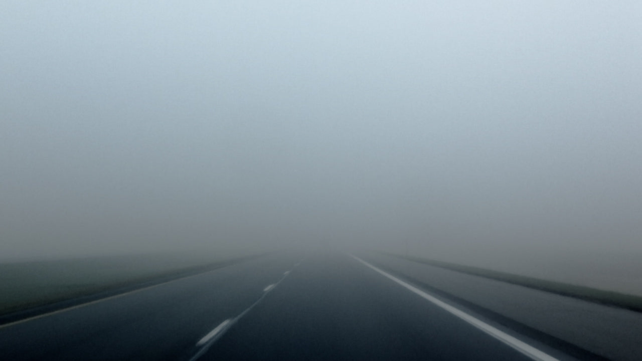 Fog Still
