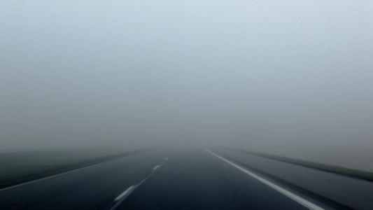Fog Still