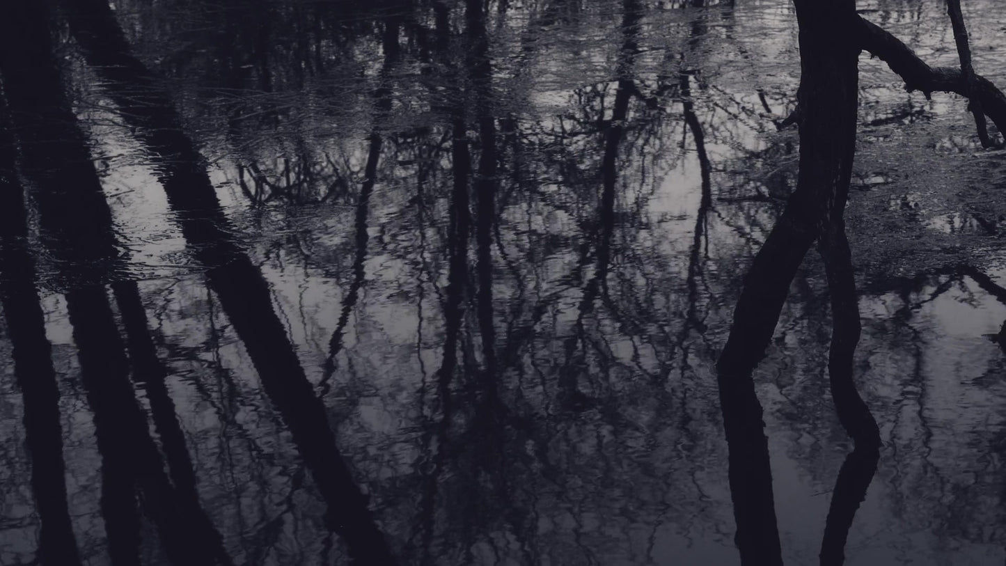 Bleak Beauty Dark