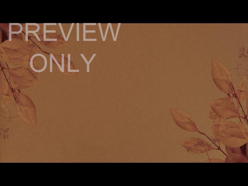 Autumn  1 Still