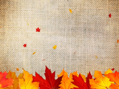 Autumn Leaves 3