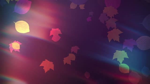 Light Leaves 02