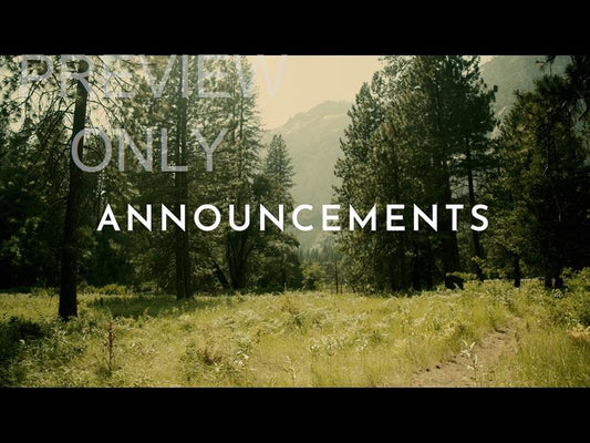 Yosemite Meadows Still -
