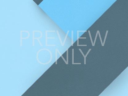 Material Design Blank 2