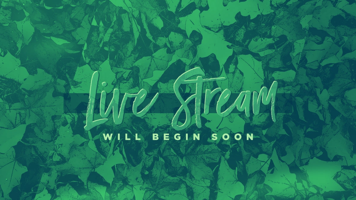Peaceful Autumn Live Stream