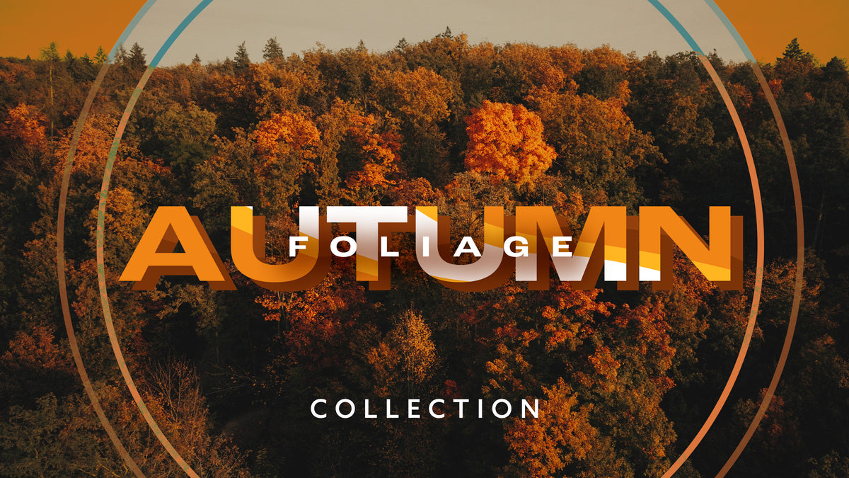 Autumn Foliage Collection