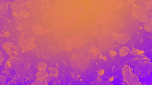 Radiant Gradient Flowers 03