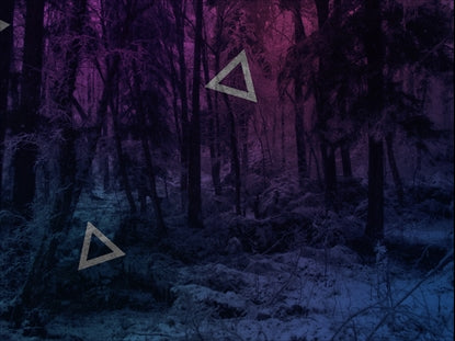 Warm Pink Snowy Forest