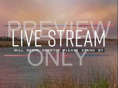 Tidelands Live Stream Still