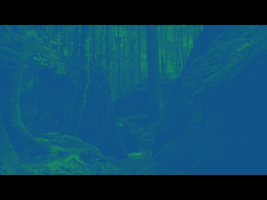Deep Forest Boulders Blue Mint