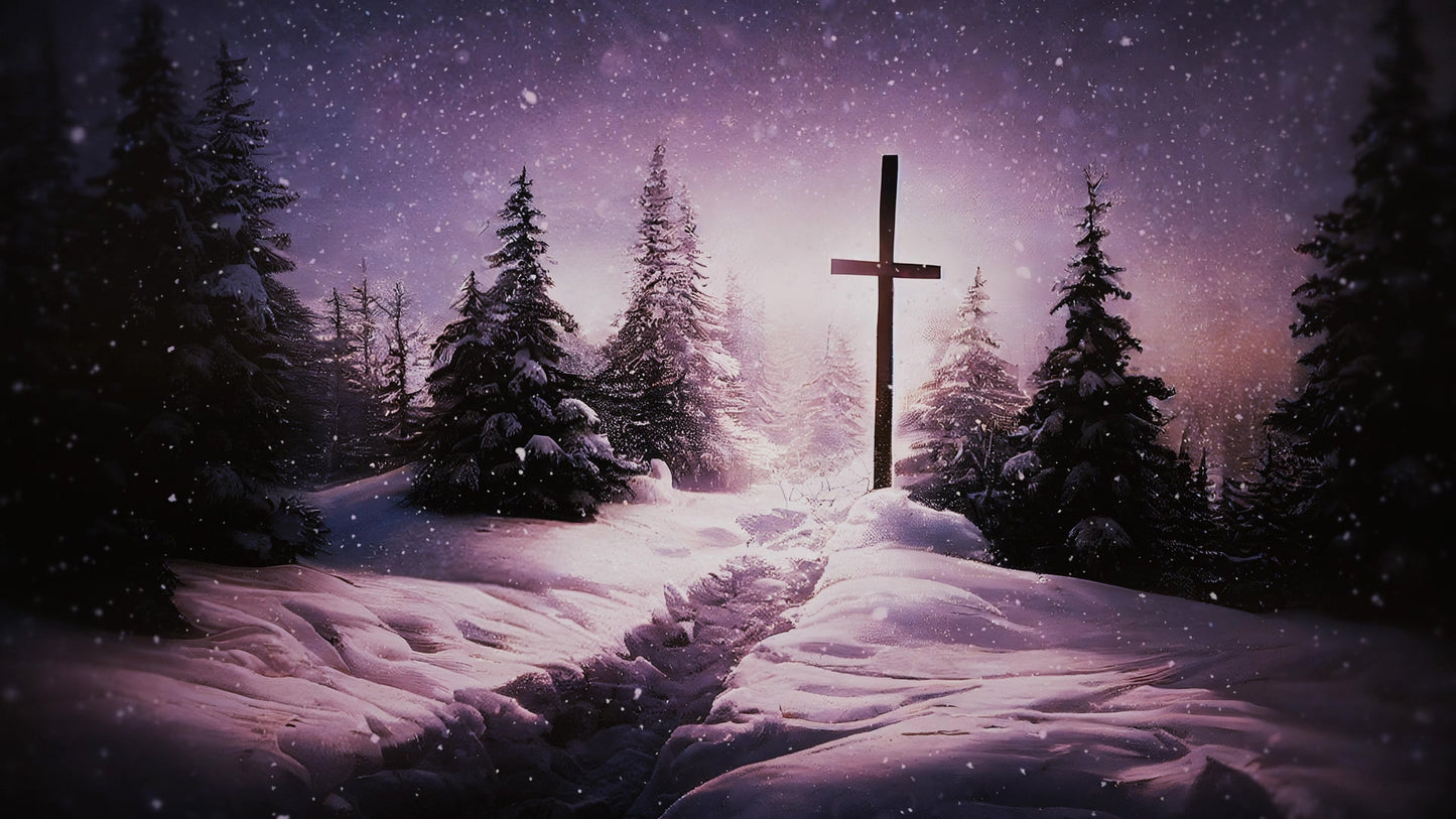 Winter Journey Snow Cross