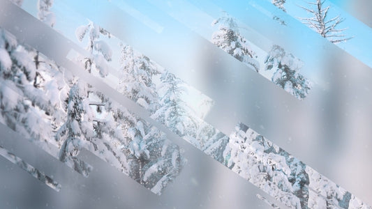 Winter Journey 12