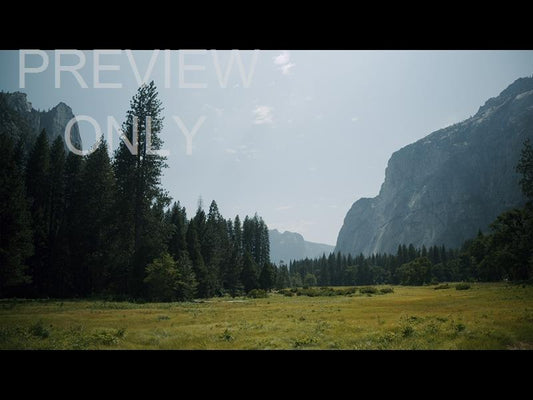 Yosemite Meadows Still - 01