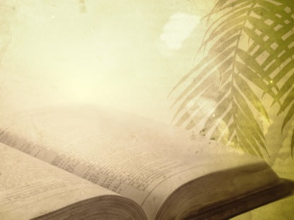 Palm Scripture