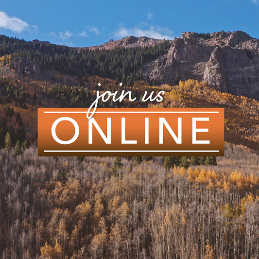 Mountain Sky Join Us Online