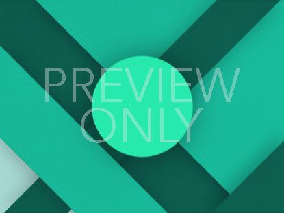 Material Design Blank 4